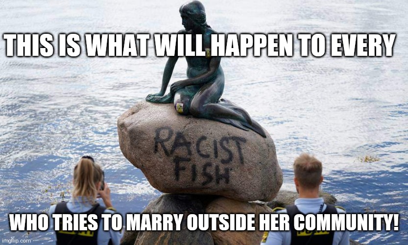 Little Mermaid racism | THIS IS WHAT WILL HAPPEN TO EVERY; WHO TRIES TO MARRY OUTSIDE HER COMMUNITY! | image tagged in little mermaid racism | made w/ Imgflip meme maker