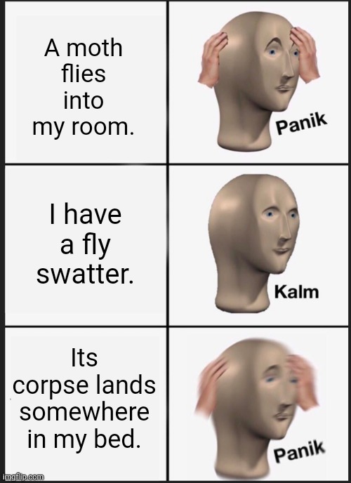 Might as well stay up all night looking at memes. | A moth flies into my room. I have a fly swatter. Its corpse lands somewhere in my bed. | image tagged in memes,panik kalm panik,bugs,moth | made w/ Imgflip meme maker