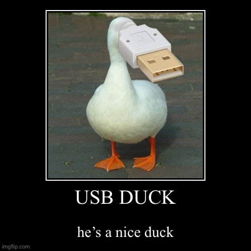 usb duck | image tagged in funny,demotivationals,ducks,duck | made w/ Imgflip demotivational maker