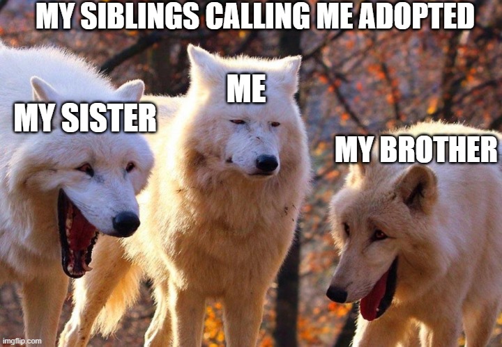 2/3 wolves laugh | MY SIBLINGS CALLING ME ADOPTED; ME; MY SISTER; MY BROTHER | image tagged in 2/3 wolves laugh | made w/ Imgflip meme maker