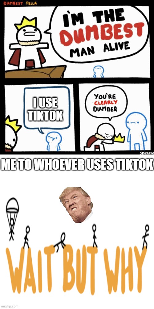 TikTok Users | I USE TIKTOK; ME TO WHOEVER USES TIKTOK | image tagged in i'm the dumbest man alive | made w/ Imgflip meme maker