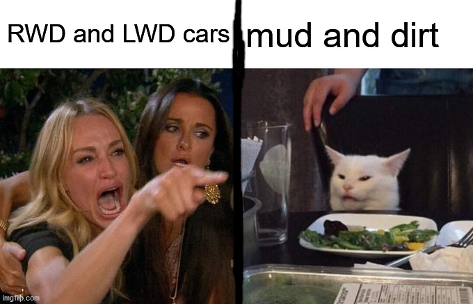 RWD and LWD cars hate offroading | RWD and LWD cars; mud and dirt | image tagged in memes,woman yelling at cat | made w/ Imgflip meme maker