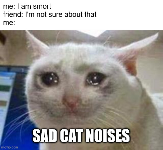 just keeps getting dumb and dumber | me: I am smort
friend: I'm not sure about that
me:; SAD CAT NOISES | image tagged in sad cat,i am smort,smart,friend,sad,crying | made w/ Imgflip meme maker