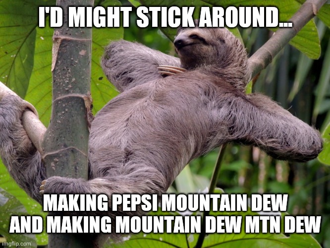 Lazy Sloth | I'D MIGHT STICK AROUND... MAKING PEPSI MOUNTAIN DEW AND MAKING MOUNTAIN DEW MTN DEW | image tagged in lazy sloth | made w/ Imgflip meme maker