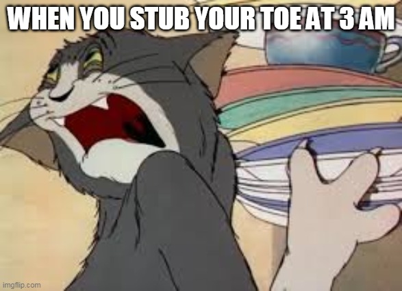 tom and jerry | WHEN YOU STUB YOUR TOE AT 3 AM | image tagged in tom and jerry | made w/ Imgflip meme maker