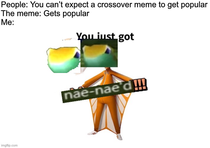 Nae Naed | image tagged in memes,get nae-nae'd,you just got vectored,crossover | made w/ Imgflip meme maker