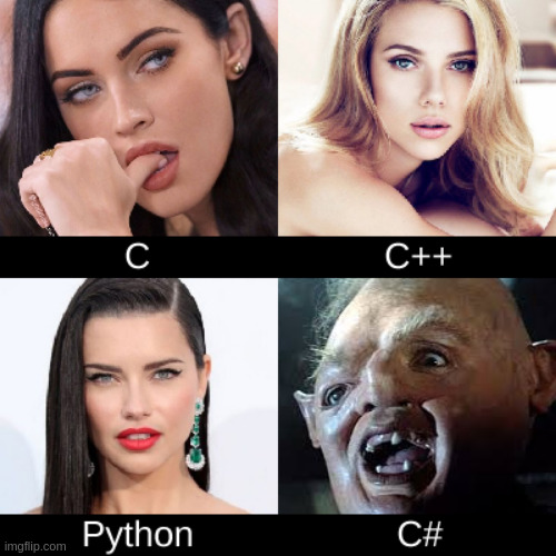 Programming languages comparation | image tagged in programming,language | made w/ Imgflip meme maker