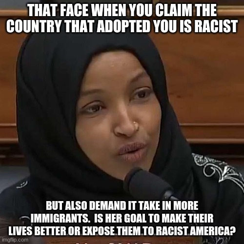 When you give the ungrateful power, this is how they repay you | THAT FACE WHEN YOU CLAIM THE COUNTRY THAT ADOPTED YOU IS RACIST; BUT ALSO DEMAND IT TAKE IN MORE IMMIGRANTS.  IS HER GOAL TO MAKE THEIR LIVES BETTER OR EXPOSE THEM TO RACIST AMERICA? | image tagged in ilhan omar,american traitor,ugly ungrateful hate spewing insider threat,black racists are still racists,claims to be oppressed b | made w/ Imgflip meme maker