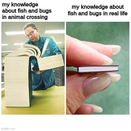 animal crossing | my knowledge about fish and bugs in real life; my knowledge about fish and bugs in animal crossing | image tagged in big book vs little book,animal crossing | made w/ Imgflip meme maker
