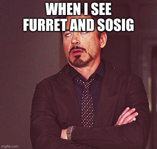 Robert Downey Jr rolling eyes | WHEN I SEE FURRET AND SOSIG | image tagged in robert downey jr rolling eyes | made w/ Imgflip meme maker