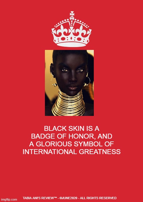Black Skin | BLACK SKIN IS A BADGE OF HONOR, AND A GLORIOUS SYMBOL OF INTERNATIONAL GREATNESS; TABIA ANI'S REVIEW™ - ©JUNE2020 - ALL RIGHTS RESERVED | image tagged in black,skin | made w/ Imgflip meme maker