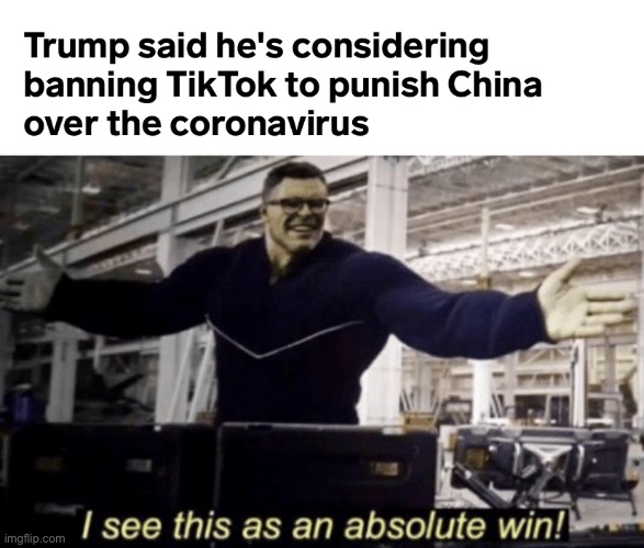 Trump finally making a half decent decision. | image tagged in i see this as an absolute win,tik tok,china | made w/ Imgflip meme maker