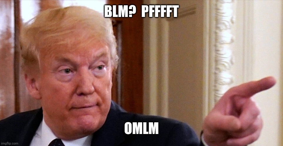 Only My Life Matters | BLM?  PFFFFT; OMLM | image tagged in trump pointing | made w/ Imgflip meme maker