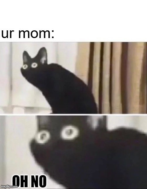 Oh No Black Cat | ur mom: OH NO | image tagged in oh no black cat | made w/ Imgflip meme maker