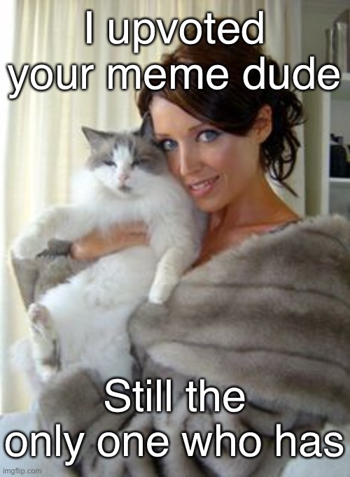 Dannii cat | I upvoted your meme dude Still the only one who has | image tagged in dannii cat | made w/ Imgflip meme maker