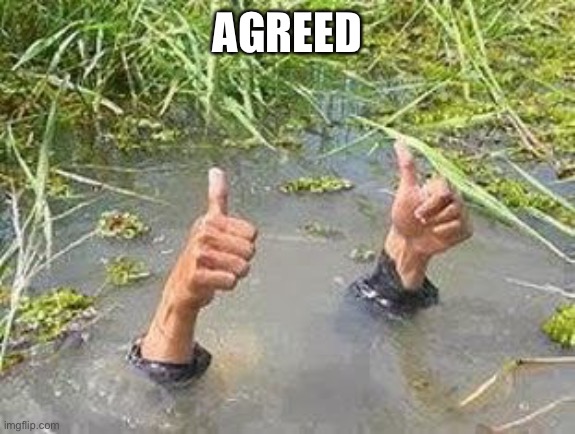 FLOODING THUMBS UP | AGREED | image tagged in flooding thumbs up | made w/ Imgflip meme maker