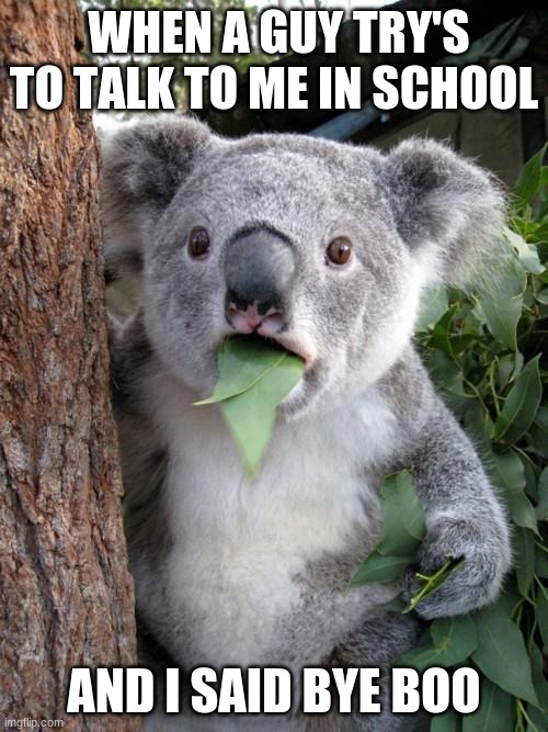 Surprised Koala | WHEN A GUY TRY'S TO TALK TO ME IN SCHOOL; AND I SAID BYE BOO | image tagged in memes,surprised koala | made w/ Imgflip meme maker