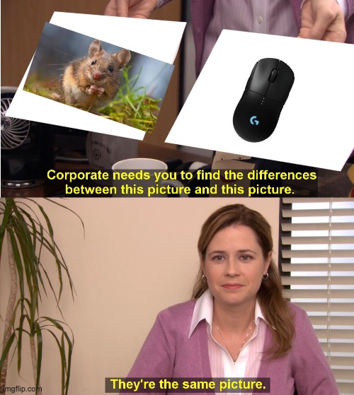 Mouse | image tagged in memes,they're the same picture | made w/ Imgflip meme maker