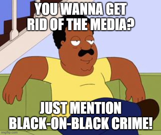 Cleveland brown  | YOU WANNA GET RID OF THE MEDIA? JUST MENTION BLACK-ON-BLACK CRIME! | image tagged in cleveland brown | made w/ Imgflip meme maker