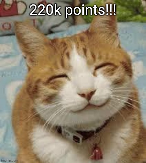 Happy cat | 220k points!!! | image tagged in happy cat | made w/ Imgflip meme maker