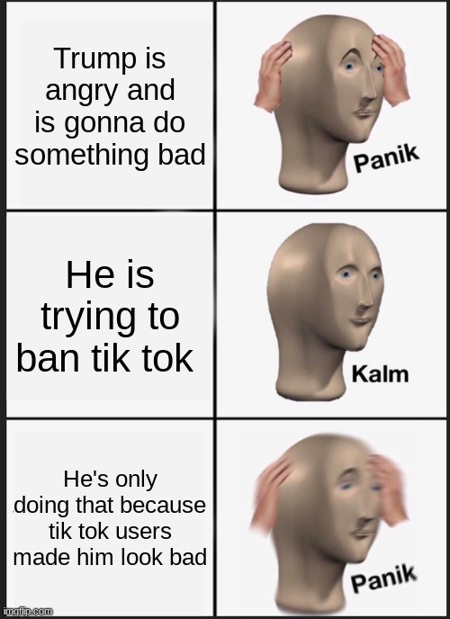 2020's weird | Trump is angry and is gonna do something bad; He is trying to ban tik tok; He's only doing that because tik tok users made him look bad | image tagged in memes,panik kalm panik | made w/ Imgflip meme maker
