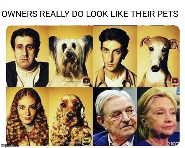 Owners really do look like their pets | OWNERS REALLY DO LOOK LIKE THEIR PETS | image tagged in hillary clinton,george soros,new world order,criminals,treason | made w/ Imgflip meme maker