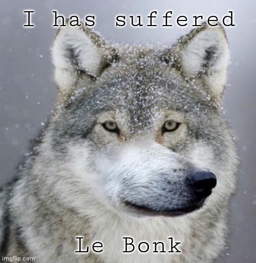 I has suffered Le Bonk | made w/ Imgflip meme maker