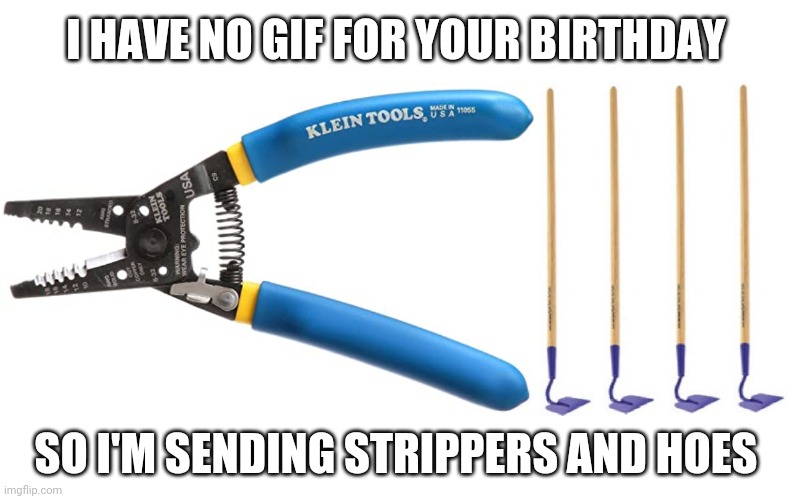 Birthday Strippers and hoes | I HAVE NO GIF FOR YOUR BIRTHDAY; SO I'M SENDING STRIPPERS AND HOES | image tagged in happy birthday,strippers,hoes | made w/ Imgflip meme maker