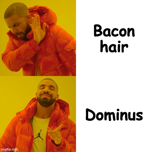 Drake Hotline Bling | Bacon hair; Dominus | image tagged in memes,drake hotline bling | made w/ Imgflip meme maker