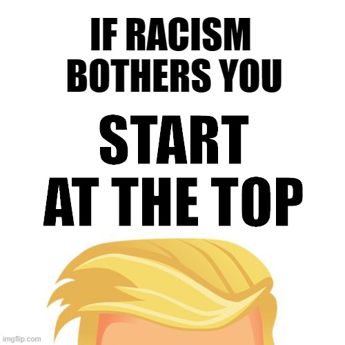 Vote against racism | IF RACISM 
BOTHERS YOU; START
AT THE TOP | image tagged in trump hair | made w/ Imgflip meme maker