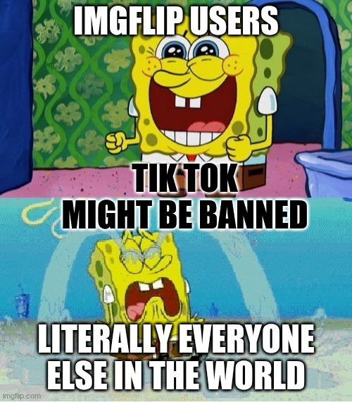 best day of life | IMGFLIP USERS; TIK TOK MIGHT BE BANNED; LITERALLY EVERYONE ELSE IN THE WORLD | image tagged in spongebob happy and sad | made w/ Imgflip meme maker