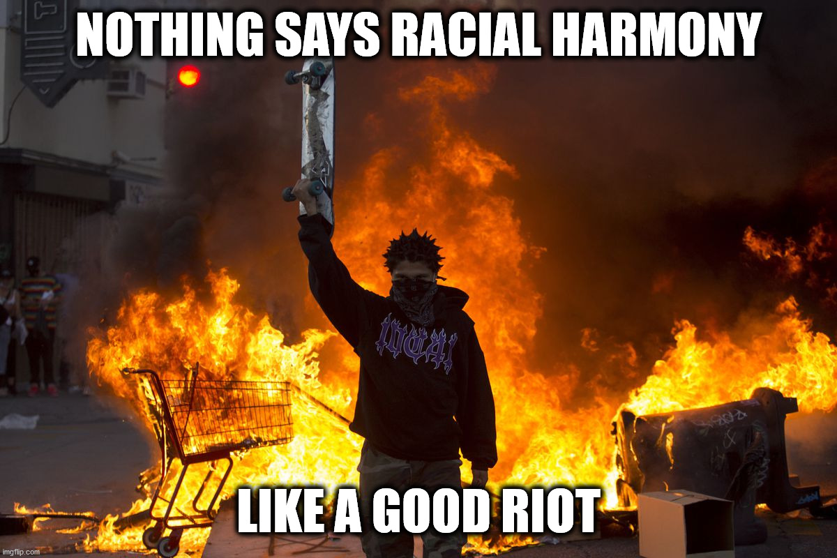 Today's Thinking | NOTHING SAYS RACIAL HARMONY; LIKE A GOOD RIOT | image tagged in liberal logic | made w/ Imgflip meme maker