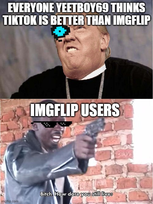 EVERYONE YEETBOY69 THINKS TIKTOK IS BETTER THAN IMGFLIP; IMGFLIP USERS | image tagged in memes,yo dawg heard you,bitch how dare you still live | made w/ Imgflip meme maker
