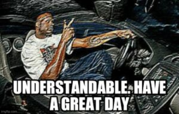 UNDERSTANDABLE HAVE A GREAT DAY | image tagged in understandable have a great day | made w/ Imgflip meme maker