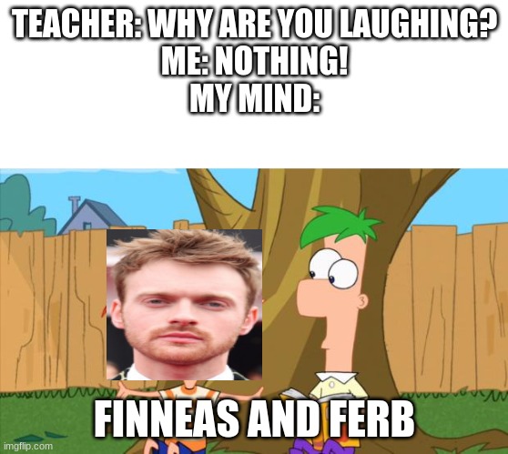 Finneas and Ferb | TEACHER: WHY ARE YOU LAUGHING?
ME: NOTHING!
MY MIND:; FINNEAS AND FERB | image tagged in phineas  ferb,thin white template,memes,finneas,why are you laughing | made w/ Imgflip meme maker
