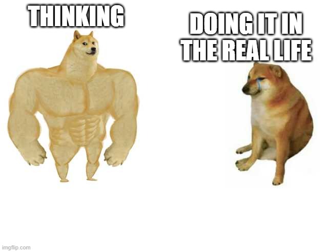 Thinking vs Doing It | DOING IT IN THE REAL LIFE; THINKING | image tagged in strong doge weak doge,funny memes | made w/ Imgflip meme maker