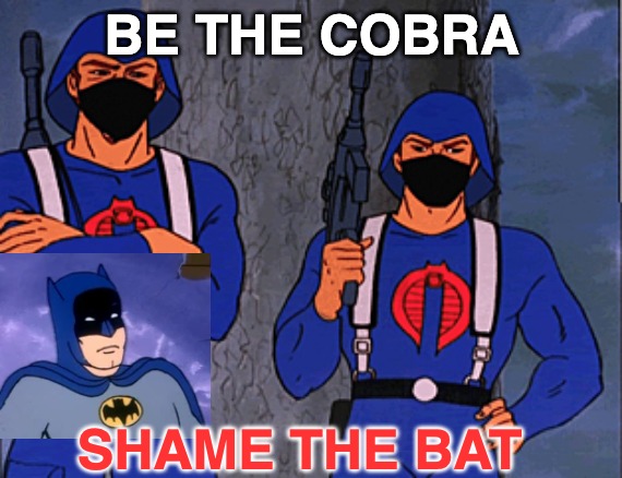 BE THE COBRA; SHAME THE BAT | image tagged in batman,cobra,covid-19,masks | made w/ Imgflip meme maker
