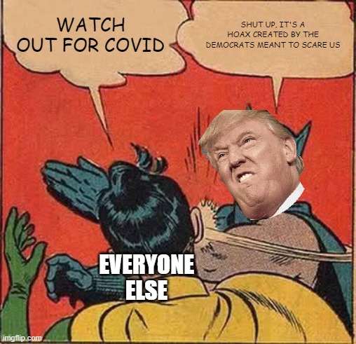Batman Slapping Robin | WATCH OUT FOR COVID; SHUT UP, IT'S A HOAX CREATED BY THE DEMOCRATS MEANT TO SCARE US; EVERYONE ELSE | image tagged in memes,batman slapping robin | made w/ Imgflip meme maker