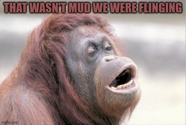 Monkey OOH Meme | THAT WASN'T MUD WE WERE FLINGING | image tagged in memes,monkey ooh | made w/ Imgflip meme maker
