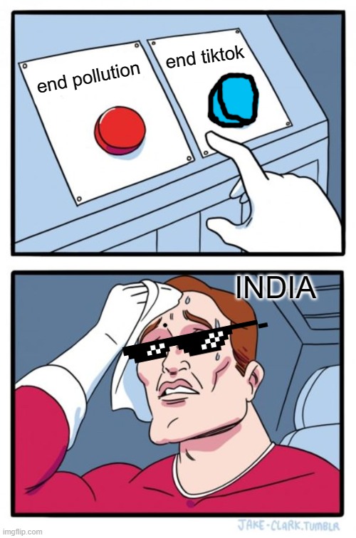 LIKE IT NOW! |  end tiktok; end pollution; INDIA | image tagged in memes,two buttons | made w/ Imgflip meme maker
