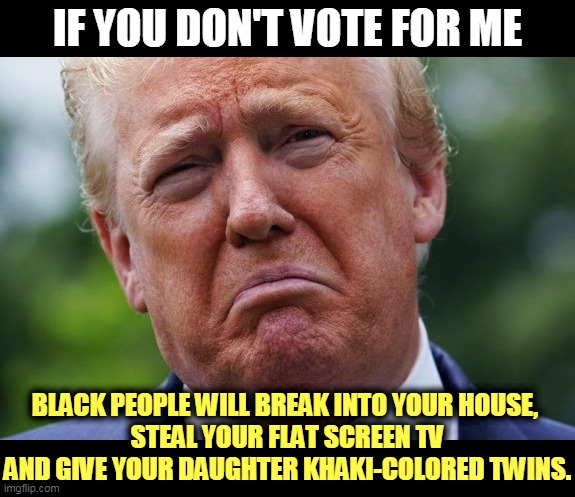 When he talks crap like that, do you actually believe him? Really? | IF YOU DON'T VOTE FOR ME; BLACK PEOPLE WILL BREAK INTO YOUR HOUSE, 
STEAL YOUR FLAT SCREEN TV AND GIVE YOUR DAUGHTER KHAKI-COLORED TWINS. | image tagged in trump,silly,stupid,insane,garbage,racism | made w/ Imgflip meme maker