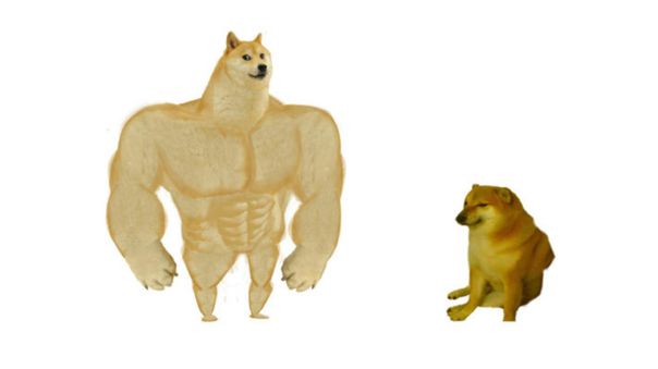 High Quality Swole doge and cheems Blank Meme Template