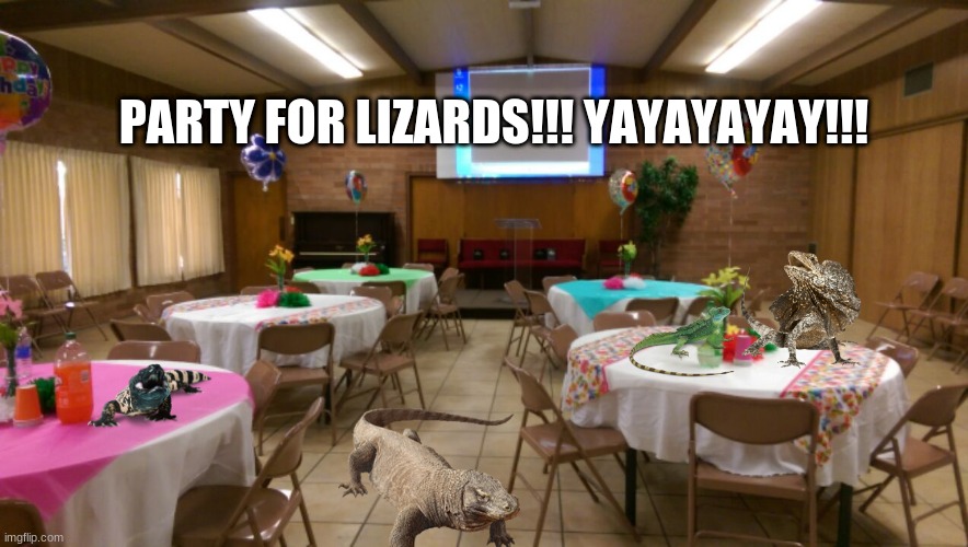 Empty party room | PARTY FOR LIZARDS!!! YAYAYAYAY!!! | image tagged in empty party room | made w/ Imgflip meme maker