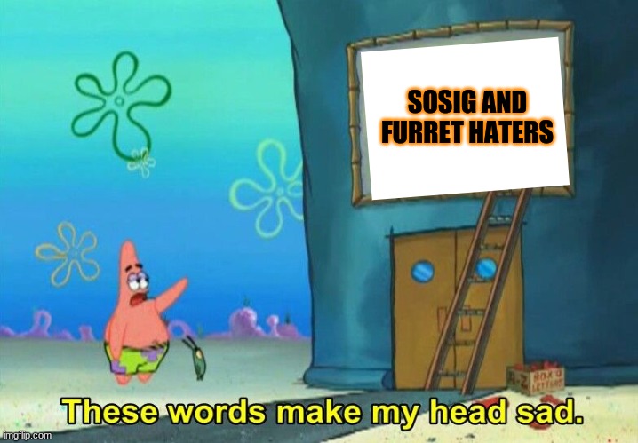 so so true | SOSIG AND FURRET HATERS | image tagged in these words make my head sad patrick | made w/ Imgflip meme maker