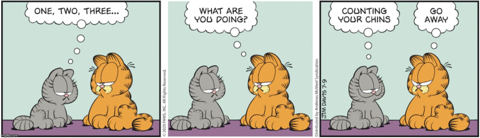 Nermal Counts Garfield’s Chins | image tagged in garfield,nermal,memes,comics | made w/ Imgflip meme maker