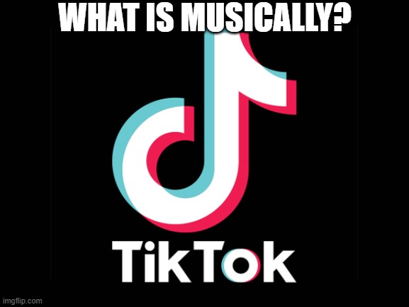 WHAT IS MUSICALLY? | image tagged in tik tok | made w/ Imgflip meme maker