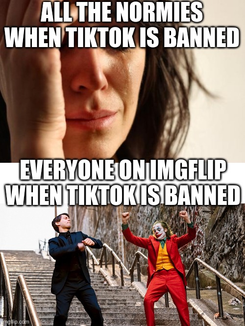 ALL THE NORMIES WHEN TIKTOK IS BANNED; EVERYONE ON IMGFLIP WHEN TIKTOK IS BANNED | image tagged in memes,tiktok | made w/ Imgflip meme maker