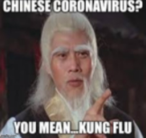 image tagged in china,kung fu,covid-19 | made w/ Imgflip meme maker