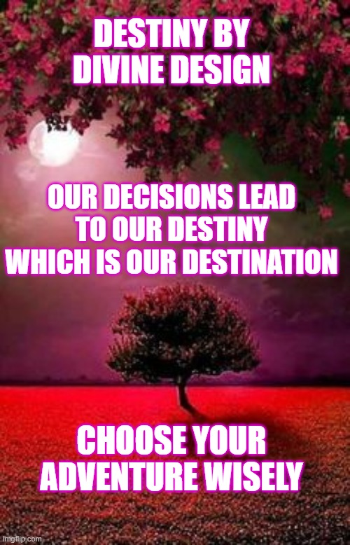 DESTINY | DESTINY BY DIVINE DESIGN; OUR DECISIONS LEAD TO OUR DESTINY WHICH IS OUR DESTINATION; CHOOSE YOUR ADVENTURE WISELY | image tagged in inspirational quote,inspirational memes,inspire the people | made w/ Imgflip meme maker