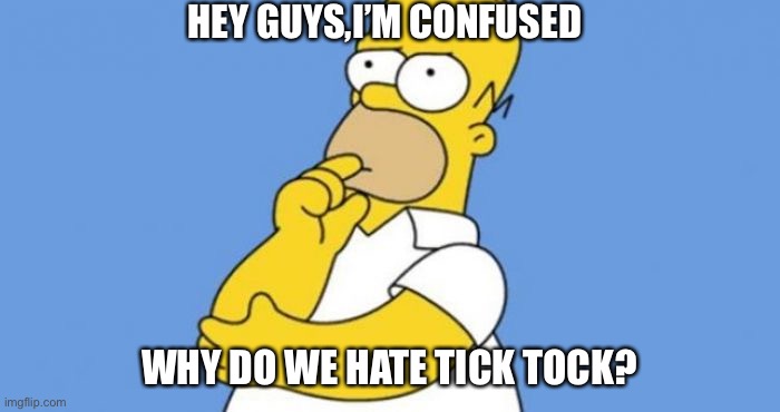 Homer thinking | HEY GUYS,I’M CONFUSED; WHY DO WE HATE TICK TOCK? | image tagged in homer thinking | made w/ Imgflip meme maker